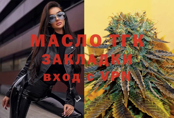 прущая мука Вяземский