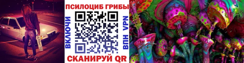 KRAKEN рабочий сайт  Каргополь  Галлюциногенные грибы мицелий 
